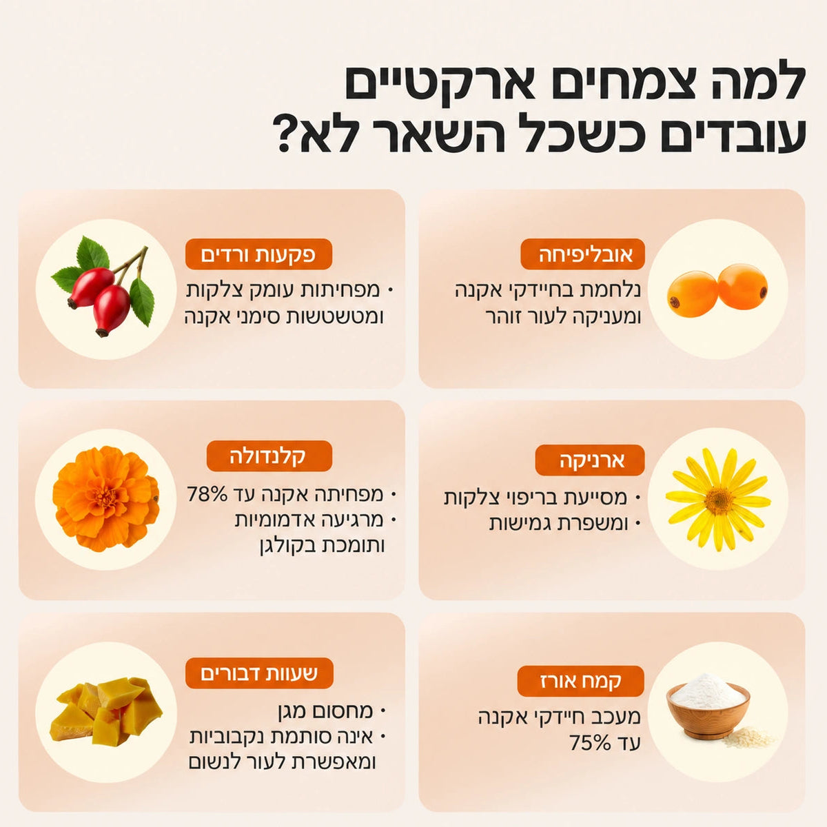 NORVIK | הערכה המלאה לעור הנוטה לאקנה